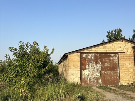 Elan №6381251 - Xaçmaz, Xaçmaz, 200 sot