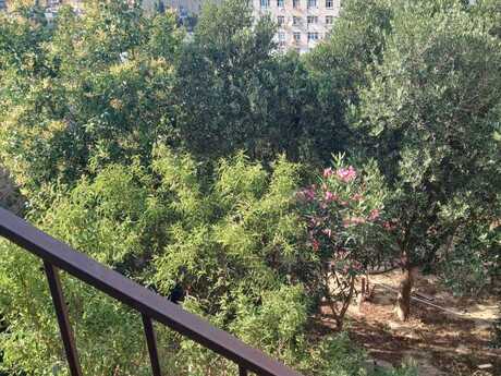 5 otaqlı həyət evi, 250 m², Badamdar: 350 000 ₼ 5