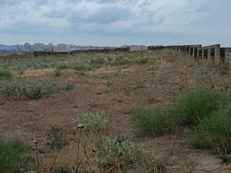Объявление №6382061 - Баку, Абшеронcкий  р., 25 сот