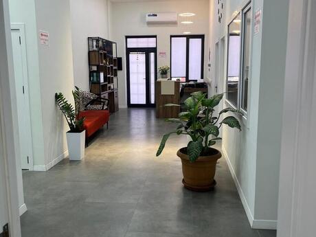 Elan №6383031 - Bakı, Memar Əcəmi m., 9 otaqlı, 265 m²