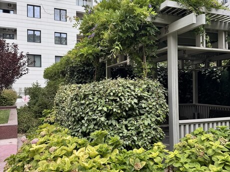 2 otaqlı mənzil, 55 m², Bayıl: 300 000 ₼ 3