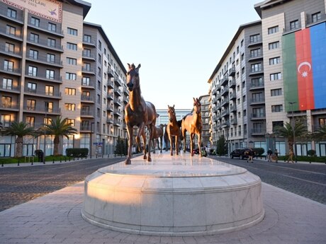 Объявление №6387250 - Баку, пос. Аг шехер, 4-комн., 185 м², 6/7 этаж