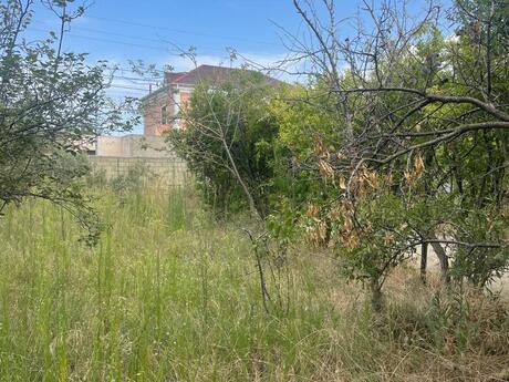 3 otaqlı həyət evi, 110 m², Novxanı: 115 000 ₼ 3