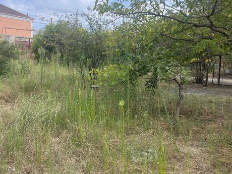 3 otaqlı həyət evi, 110 m², Novxanı: 115 000 ₼ 4