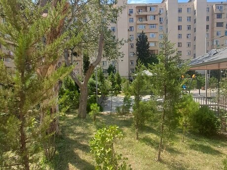 Объявление №6390878 - Баку, м. Ази Асланов, 3-комн., 80 м², 6/9 этаж