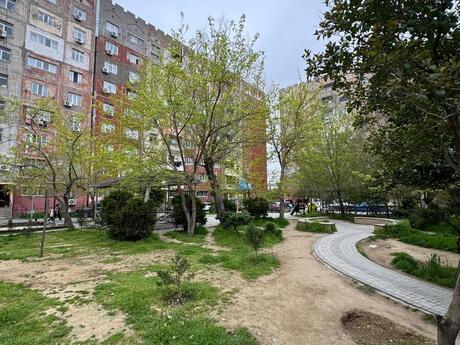 Объявление №6391080 - Баку, пос. Биладжары, 4-комн., 65 м², 4/9 этаж