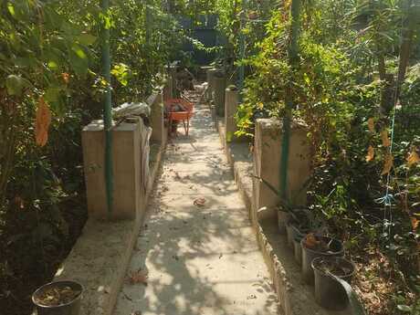 4 otaqlı həyət evi, 120 m², Xocəsən: 90 000 ₼ 2