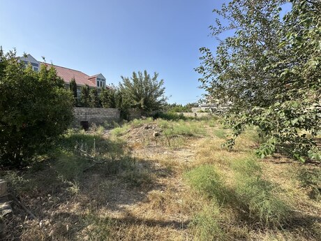 Elan №6391359 - Bakı, Türkan q., 5 sot
