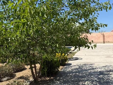 4 otaqlı həyət evi, 80 m², Qala: 169 500 ₼ 3