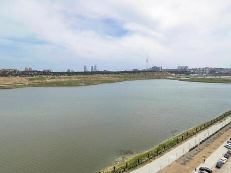 Elan №6395515 - Bakı, Yasamal r., 3 otaqlı, 71 m², 10/13 mərtəbə