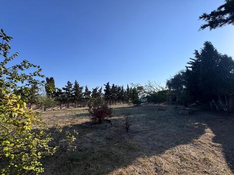 Elan №6396045 - Bakı, Nardaran q., 12 sot