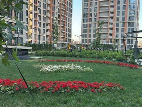 Elan №6396151 - Bakı, Yeni Yasamal q., 2 otaqlı, 48 m², 8/16 mərtəbə
