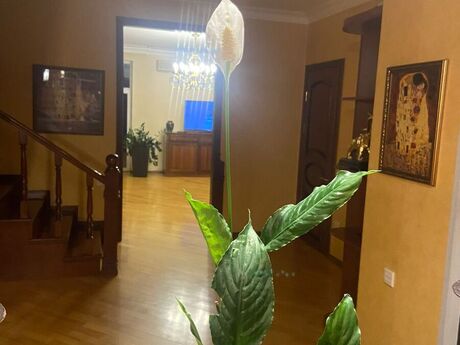 5 otaqlı mənzil, 200 m², Nizami: 560 000 ₼ 4
