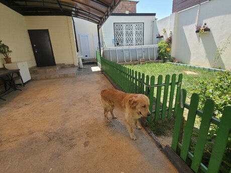 7 otaqlı həyət evi, 280 m², Bakıxanov: 420 000 ₼ 3
