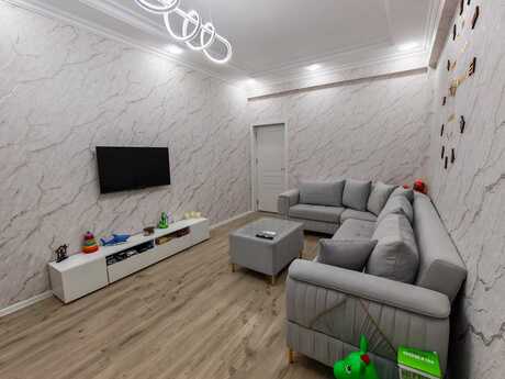 2 rooms · 81 m² · floor 12/14, Saray