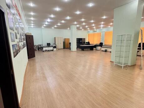 Объявление №6398280 - Баку, м. Нариман Нариманов, 240 м²