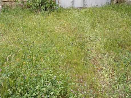 4 otaqlı həyət evi, 400 m², Nardaran: 260 000 ₼ 5