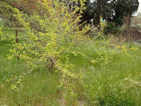 4 otaqlı həyət evi, 400 m², Nardaran: 260 000 ₼ 4