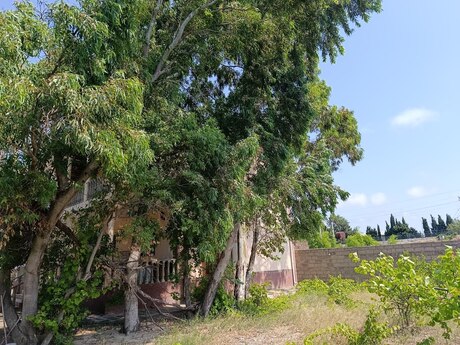5 otaqlı həyət evi, 250 m², Görədil: 350 000 ₼ 4