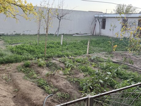 5 otaqlı həyət evi, 200 m², Binə: 135 000 ₼ 2