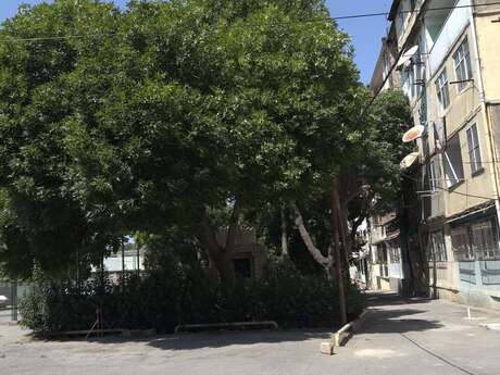2-комнатная квартира, 62 м², Avtovağzal: 125 000 ₼ 4