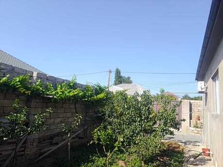 3 otaqlı həyət evi, 90 m², Binə: 87 000 ₼ 4