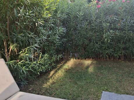 1-room apartment for rent, 55 m², Nardaran: 280 ₼/mo 5