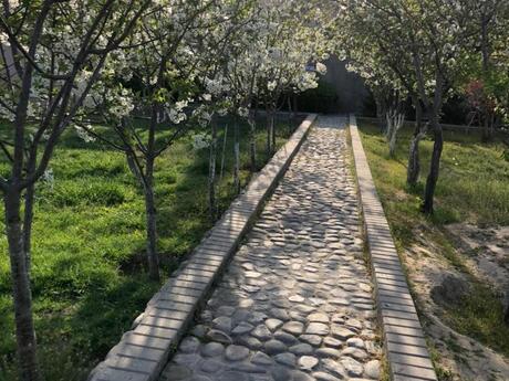 7 otaqlı həyət evi, 600 m², Şıxov: 1 750 000 ₼ 4