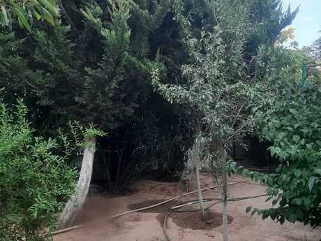 3 otaqlı həyət evi, 96 m², Buzovna: 150 000 ₼ 4