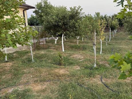 1 otaqlı həyət evi, 50 m², Türkan: 60 000 ₼ 5