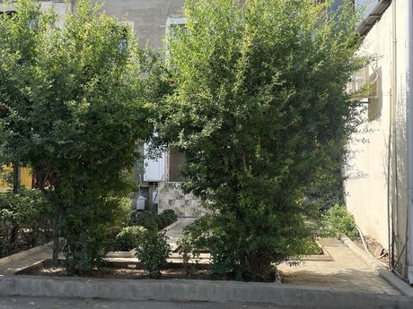 3 otaqlı mənzil, 85 m², Nəriman Nərimanov: 310 000 ₼ 3
