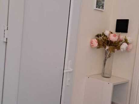 Kirayə 1 otaqlı mənzil, 26 m², 28 May: 599 ₼/ay 4