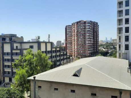 1 otaqlı mənzil, 40 m², 28 May: 138 000 ₼ 5