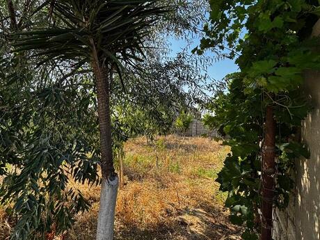 2 otaqlı həyət evi, 70 m², Binə: 124 000 ₼ 5