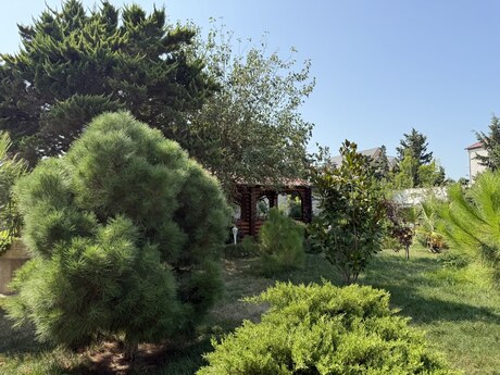 Сдаётся 7-комнатный дом, Mərdəkan, 700 м², 100 AZN/мес, фото 2 / 12
