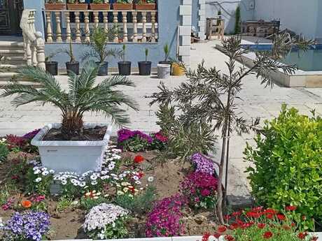 5 otaqlı həyət evi, 285 m², Novxanı: 260 000 ₼ 2