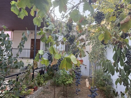 3 otaqlı həyət evi, 100 m², Yeni Ramana: 145 000 ₼ 3