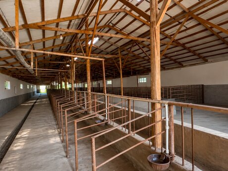 Объявление №6403839 - Сальян, Сальян, 7000 м²