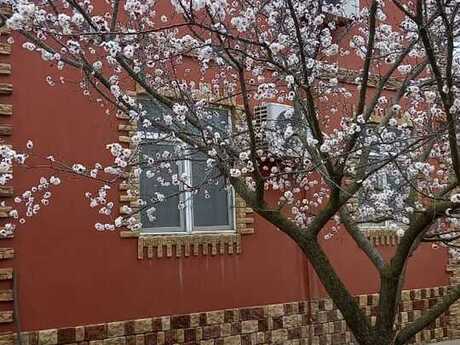 4 otaqlı həyət evi, 160 m², Bilgəh: 190 000 ₼ 2