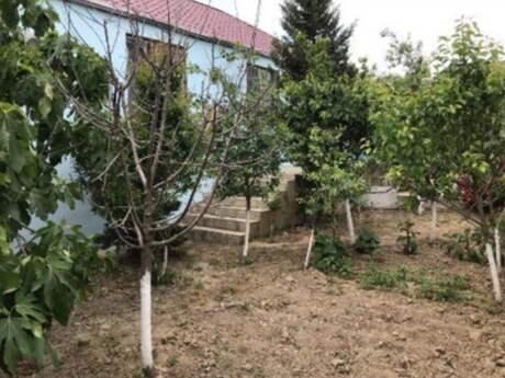 2 otaqlı həyət evi, 58 m², Fatmayı: 80 000 ₼ 5