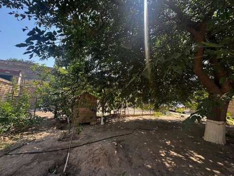 3 otaqlı həyət evi, 60 m², Novxanı: 80 000 ₼ 5