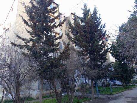 2 otaqlı mənzil, 42 m², Neftçilər: 136 500 ₼ 5