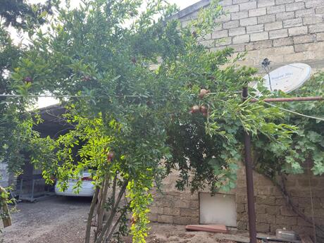 5 otaqlı həyət evi, 325 m², Buzovna: 480 000 ₼ 4