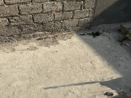 6 otaqlı həyət evi, 90 m², Binə: 47 000 ₼ 4