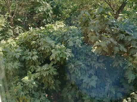 3 otaqlı mənzil, 70 m², Memar Əcəmi: 180 000 ₼ 3