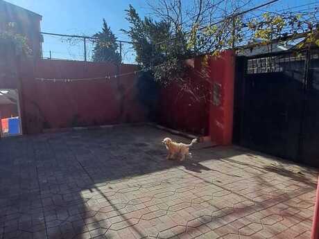 4 otaqlı həyət evi, 144 m², Biləcəri: 220 000 ₼ 5