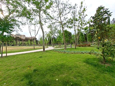3 otaqlı mənzil, 158 m², Gənclik: 360 000 ₼ 5