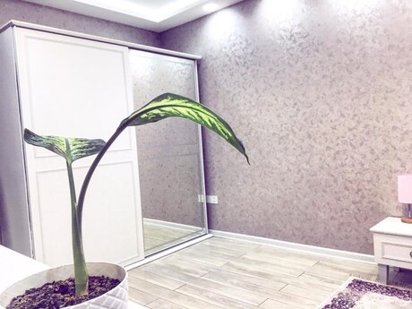 2 otaqlı mənzil, 74 m², Qara Qarayev: 250 000 ₼ 2