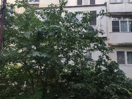 3-комнатная квартира, 65 м², Badamdar: 187 000 ₼ 2