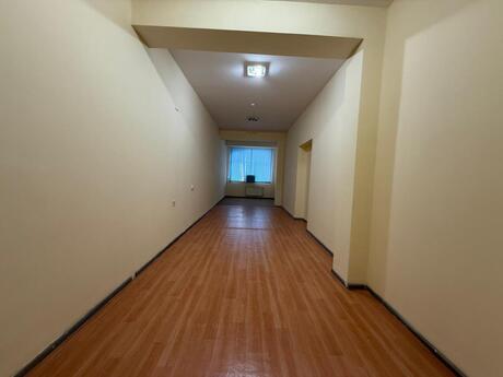 Объявление №6408266 - Баку, Насиминский  р., 10-комн., 220 м²
